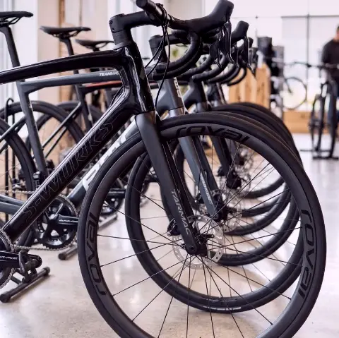 Dachs Biene – Fahrrad-Fitting