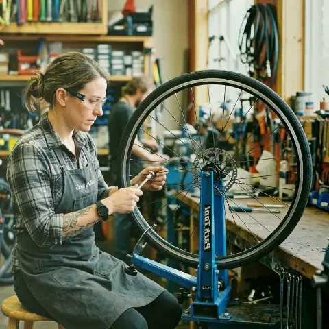 Dachs Biene – Leistungsstarke E-Bikes
